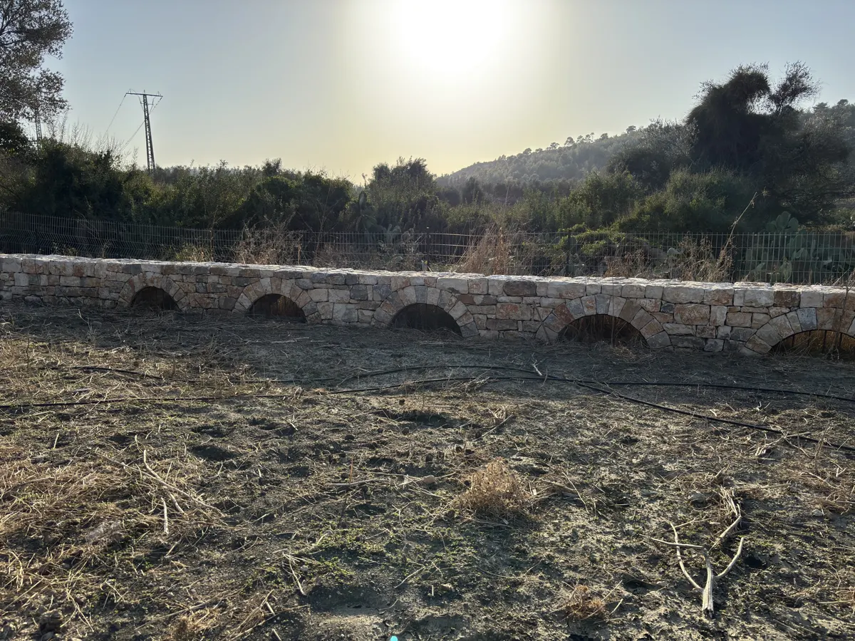 קיר אבן עם קשתות בחורשת זיתים